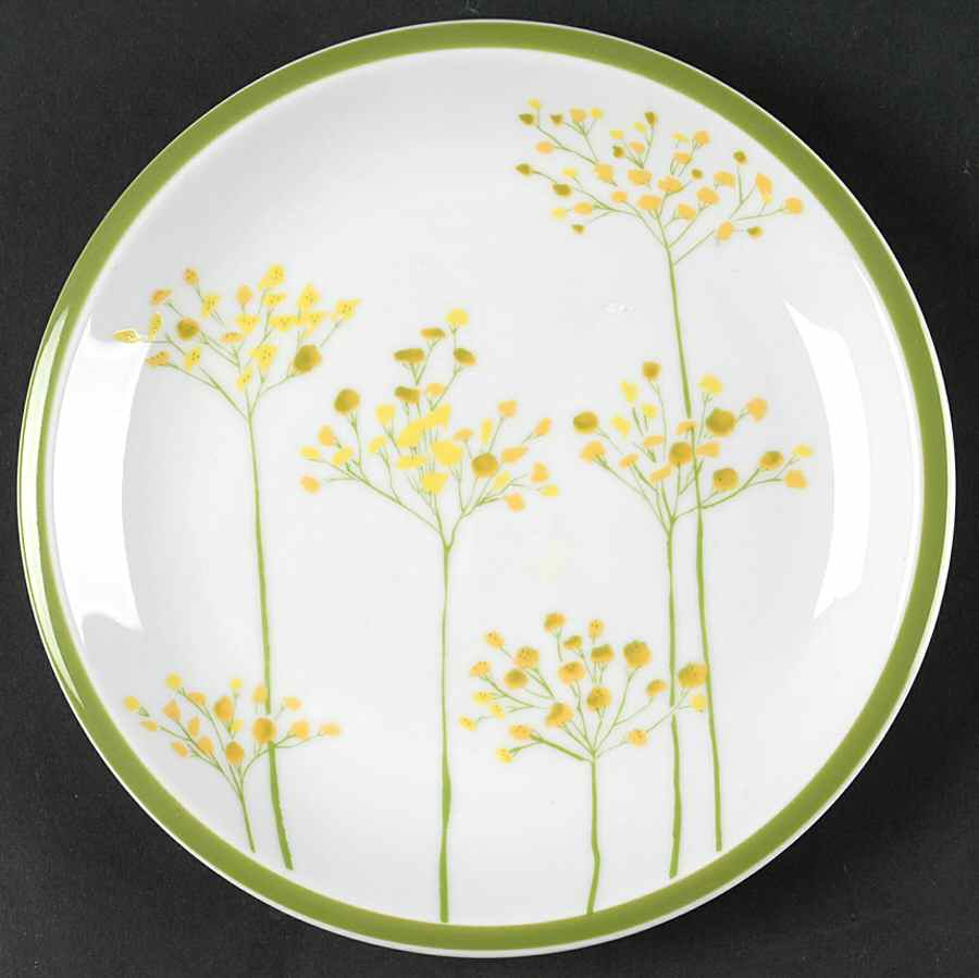 Patch of Green Salad Plate by Denby-Langley-1
