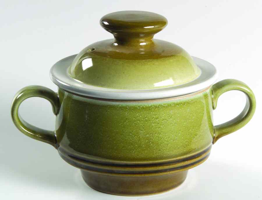 Painter's Palette Green Individual Casserole & Lid by Denby-Langley-1