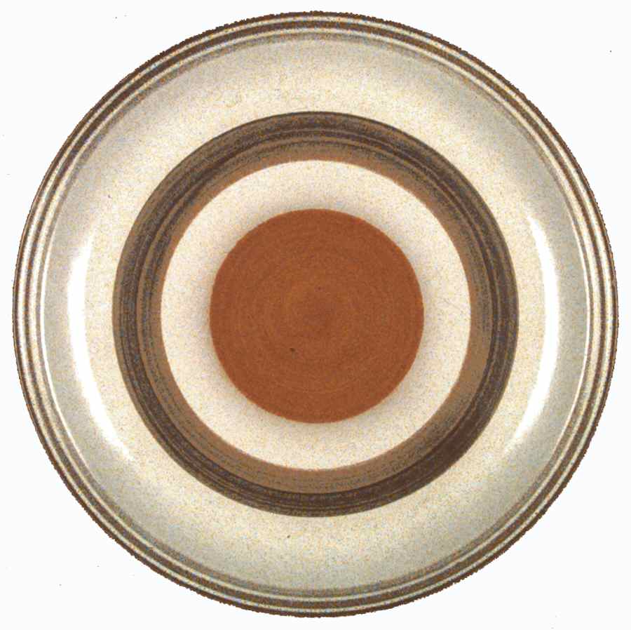 Palomar Dinner Plate by Denby-Langley-1