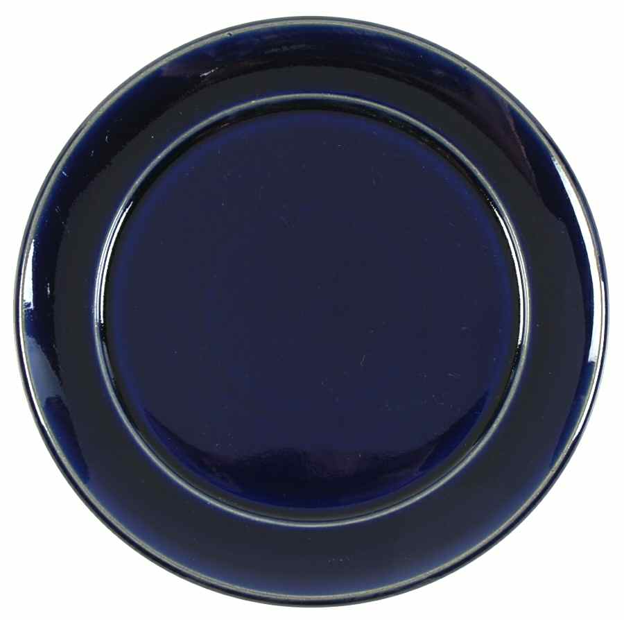 Potpourri Blue Salad Plate by Denby-Langley-1