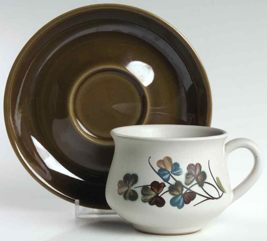 Shamrock Flat Cup & Saucer Set by Denby-Langley-1