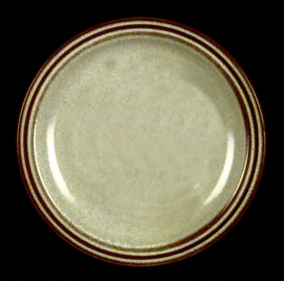 Sierra Pinta Salad Plate by Denby-Langley-1
