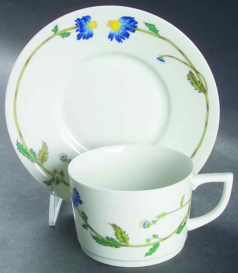 Springtime Flat Cup & Saucer Set by Denby-Langley-1