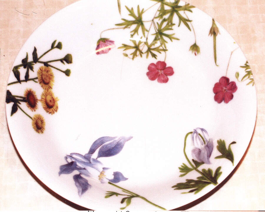 Fleurs Sauvage Coupe Soup Bowl by Philippe Deshoulieres-1
