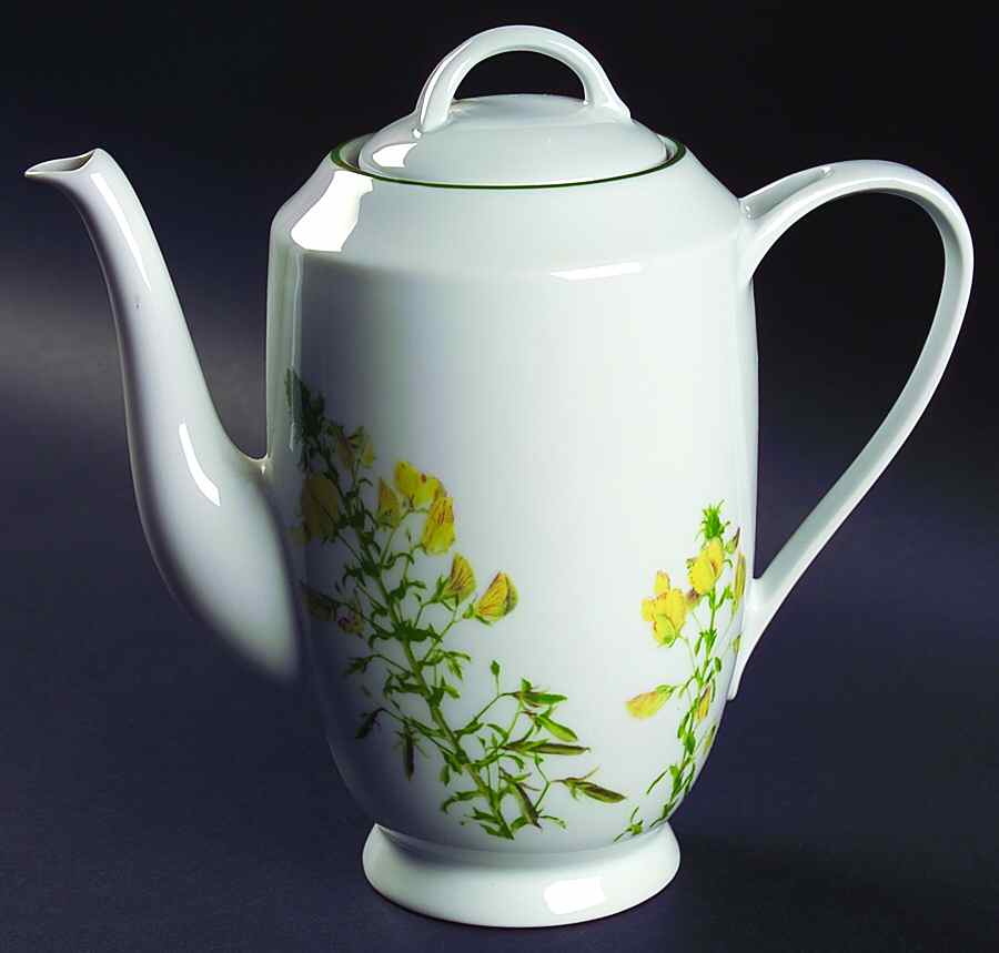 Fleurs Sauvage Coffee Pot & Lid by Philippe Deshoulieres-1