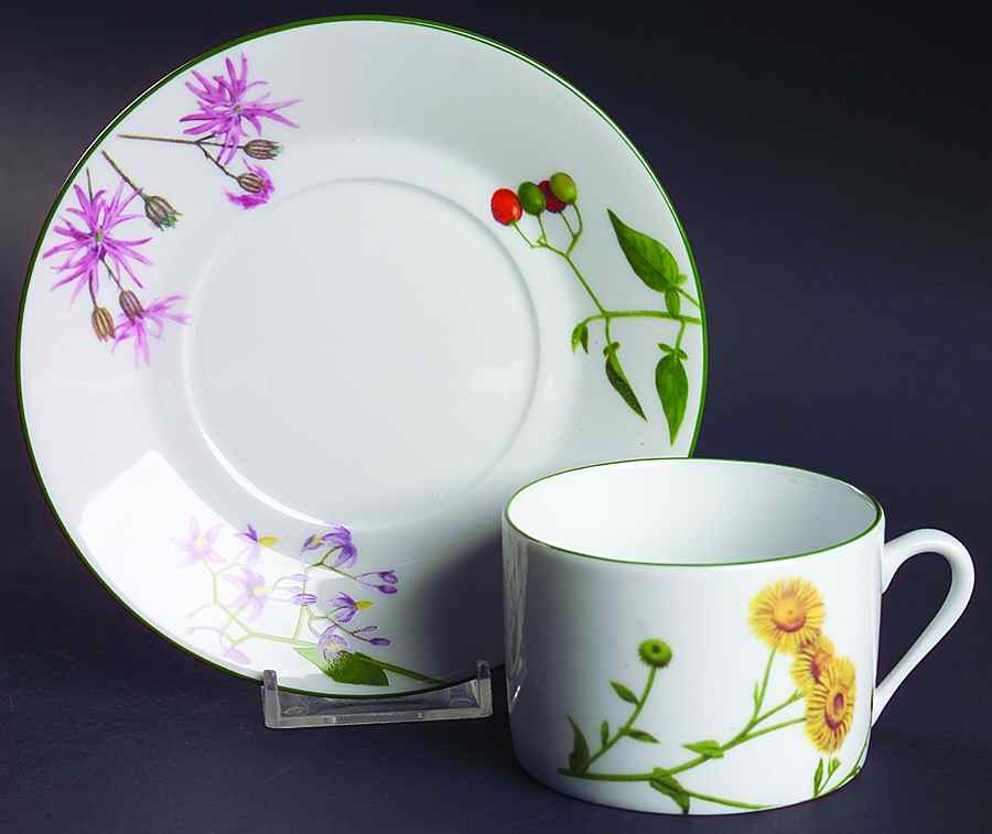 Fleurs Sauvage Flat Cup & Saucer Set by Philippe Deshoulieres-1