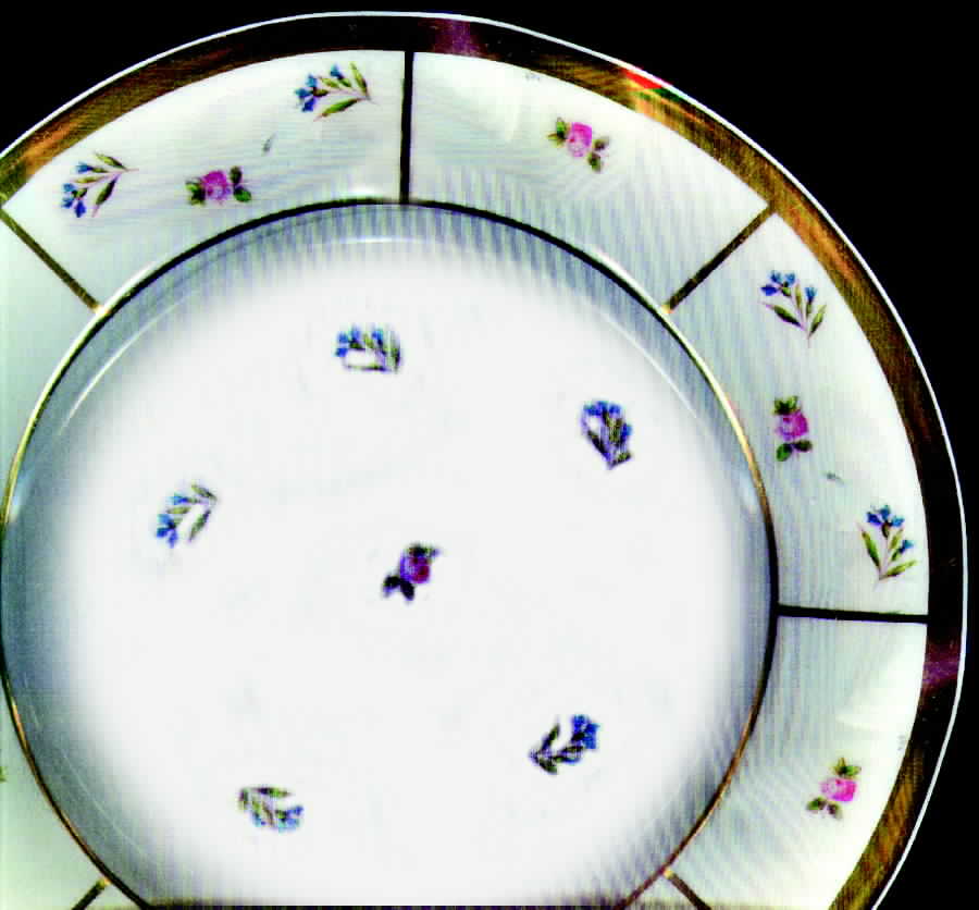 DMT3 Dinner Plate by G Demartine-1
