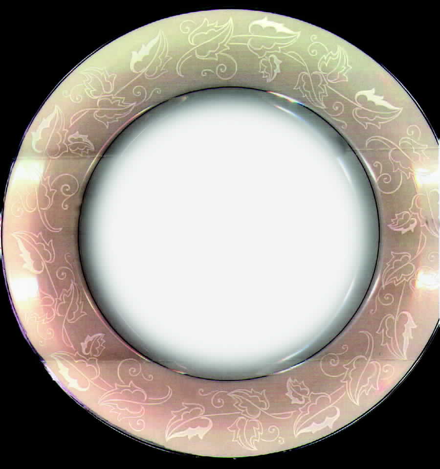 DSU1 Salad Plate by Dsc China-USA-1