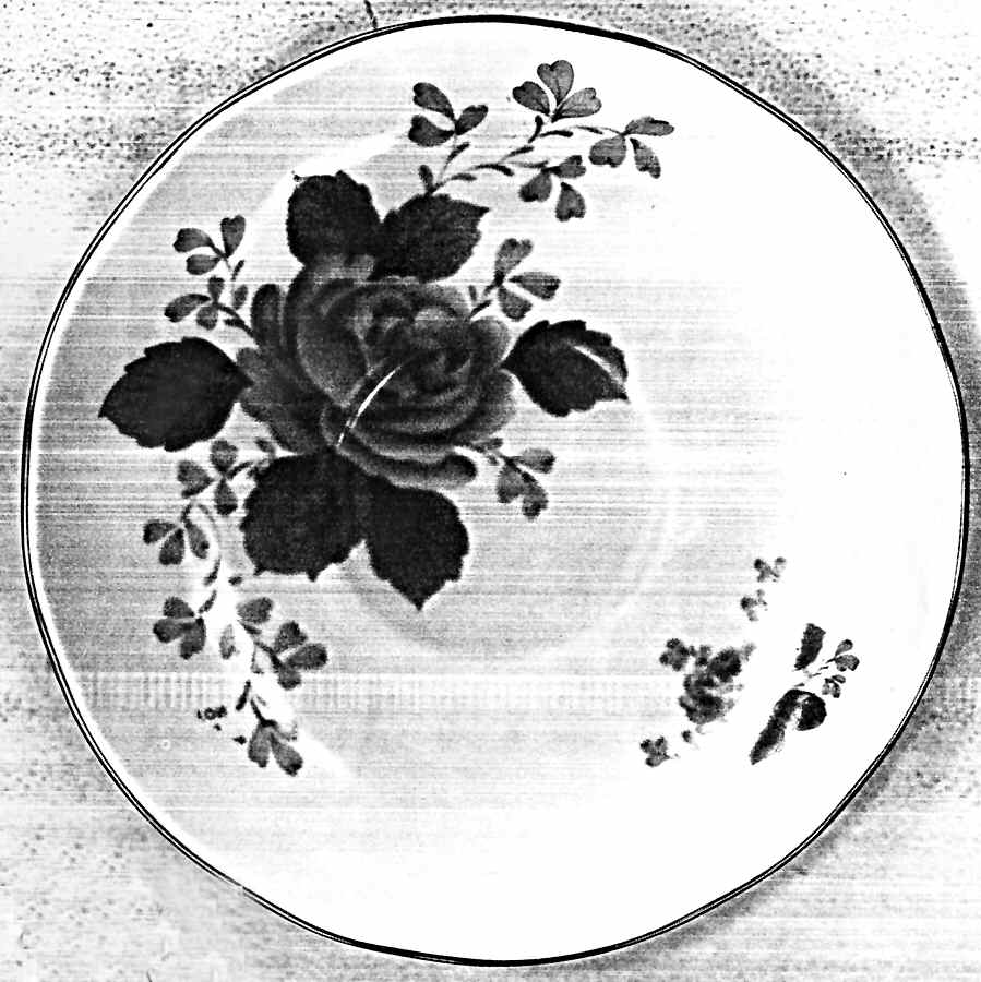 Fern Rose Saucer by Duchess-1