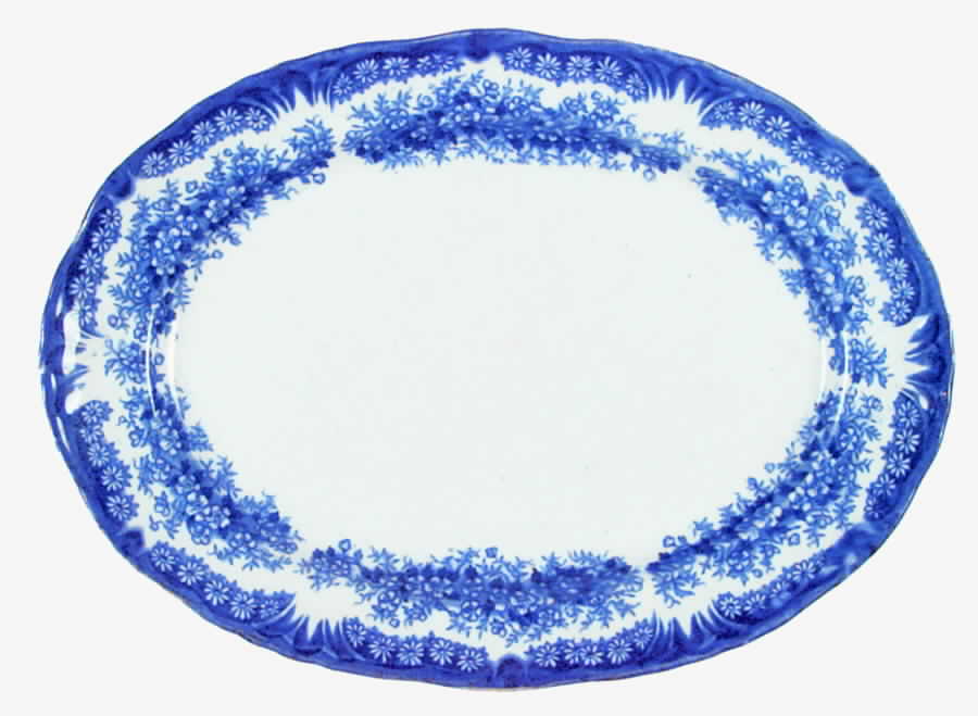 Daisy 10" Oval Serving Platter by Dudson, Wilcox & Till-1