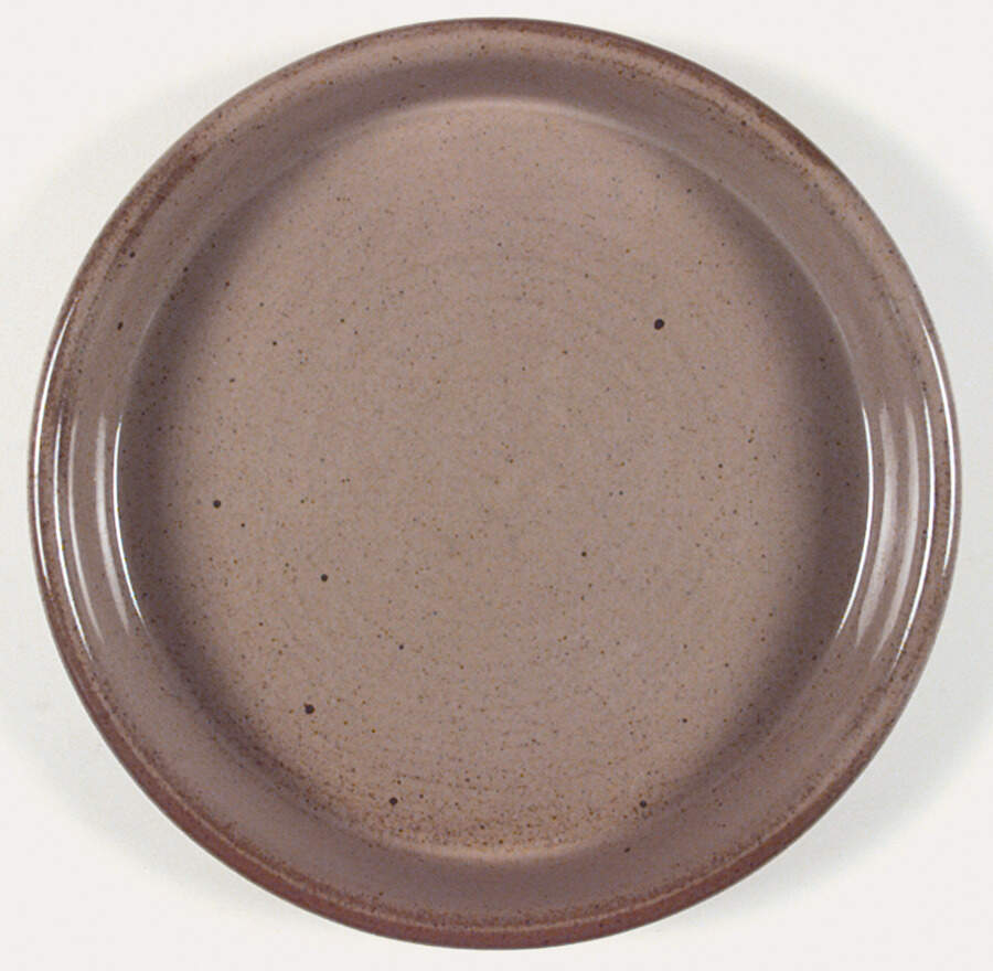 BLT+1 Spice Dinner Plate by Dansk-1