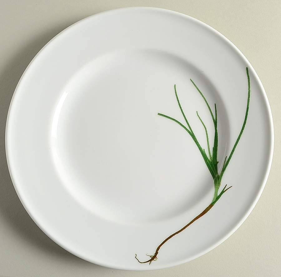 Herbaticum Dinner Plate by B T Dibbern-1