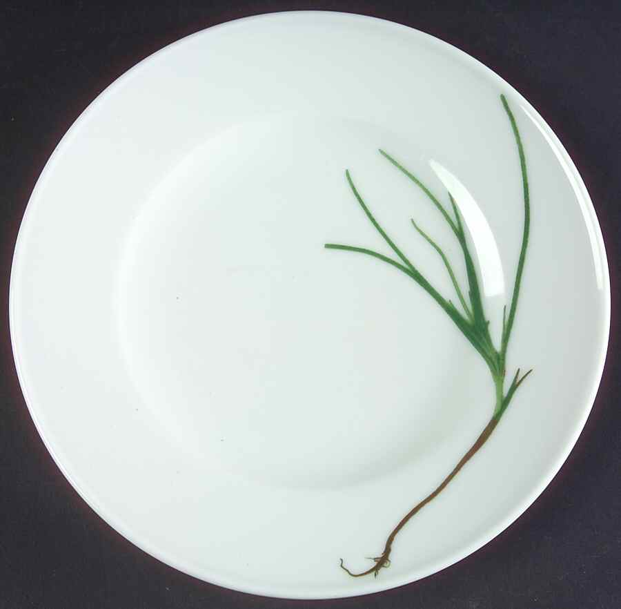 Herbaticum Salad Plate by B T Dibbern-1