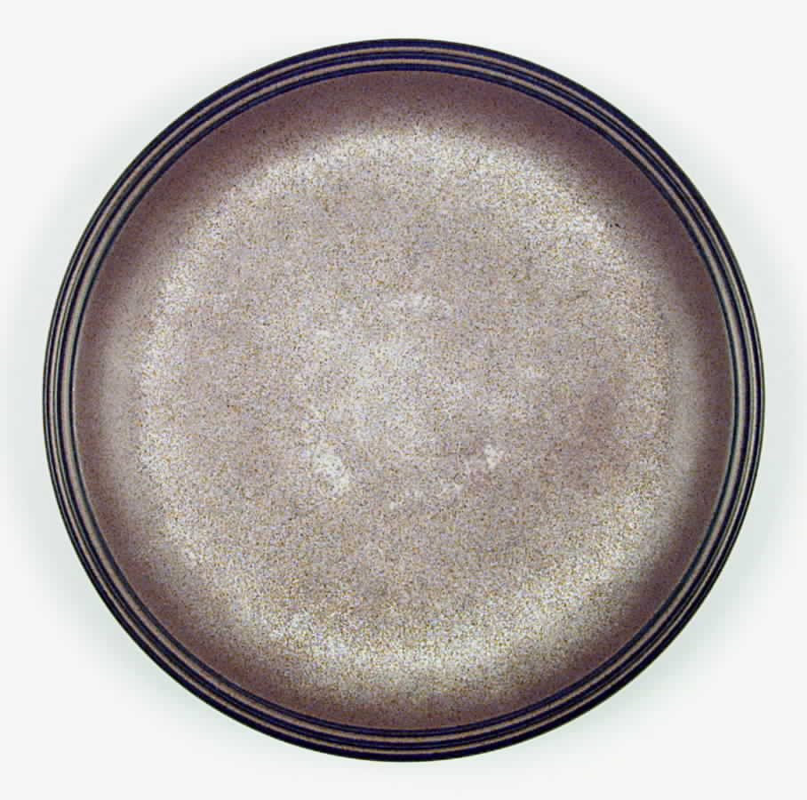 DEN8 Dinner Plate by Denby-Langley-1