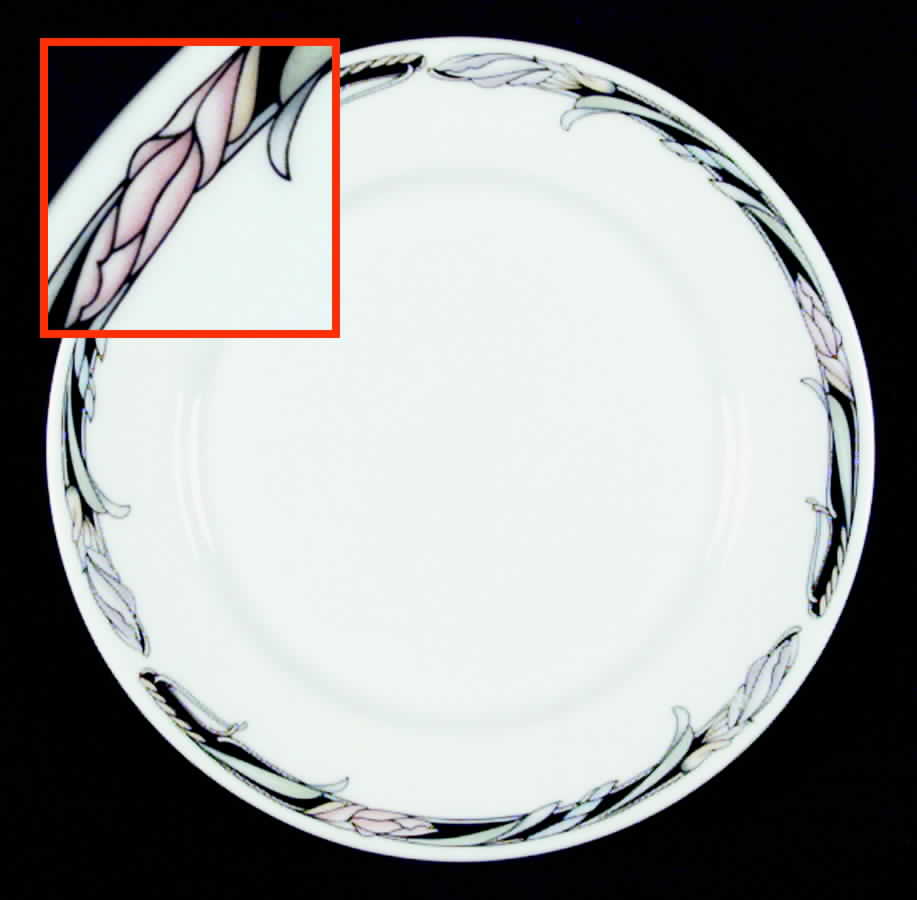 Tuscany Bread & Butter Plate by Dudson-1