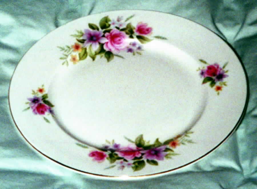 399 Dinner Plate by Duchess-1