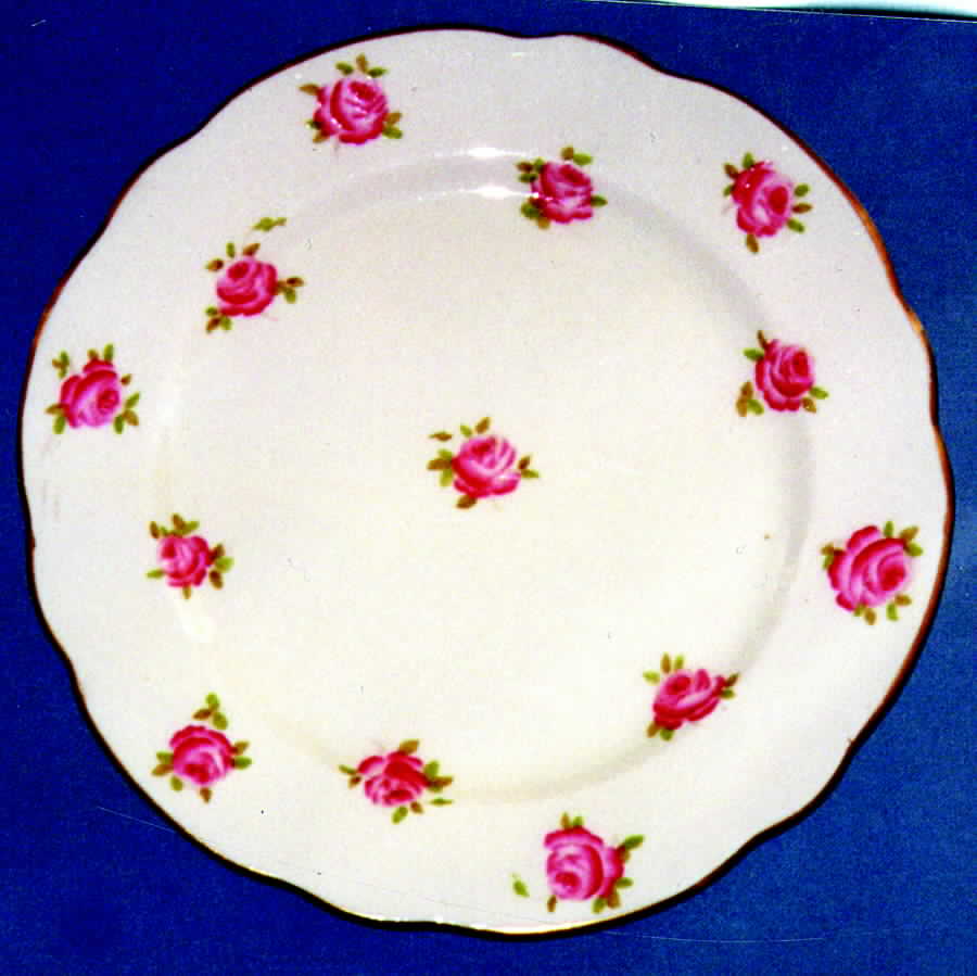 DCC2 Dinner Plate by Davis Collamore-1