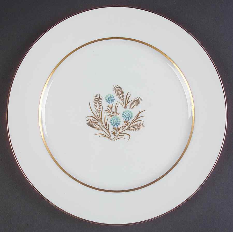 DWF5 Dinner Plate by DW (Japan)-1