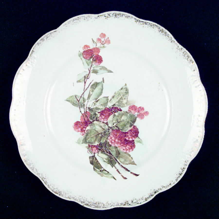 DRC1 Dinner Plate by Dresden (USA)-1