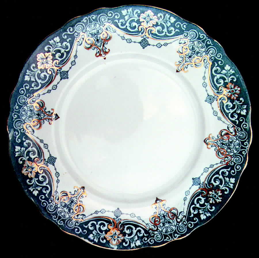 Albert Dinner Plate by Dudson, Wilcox & Till-1