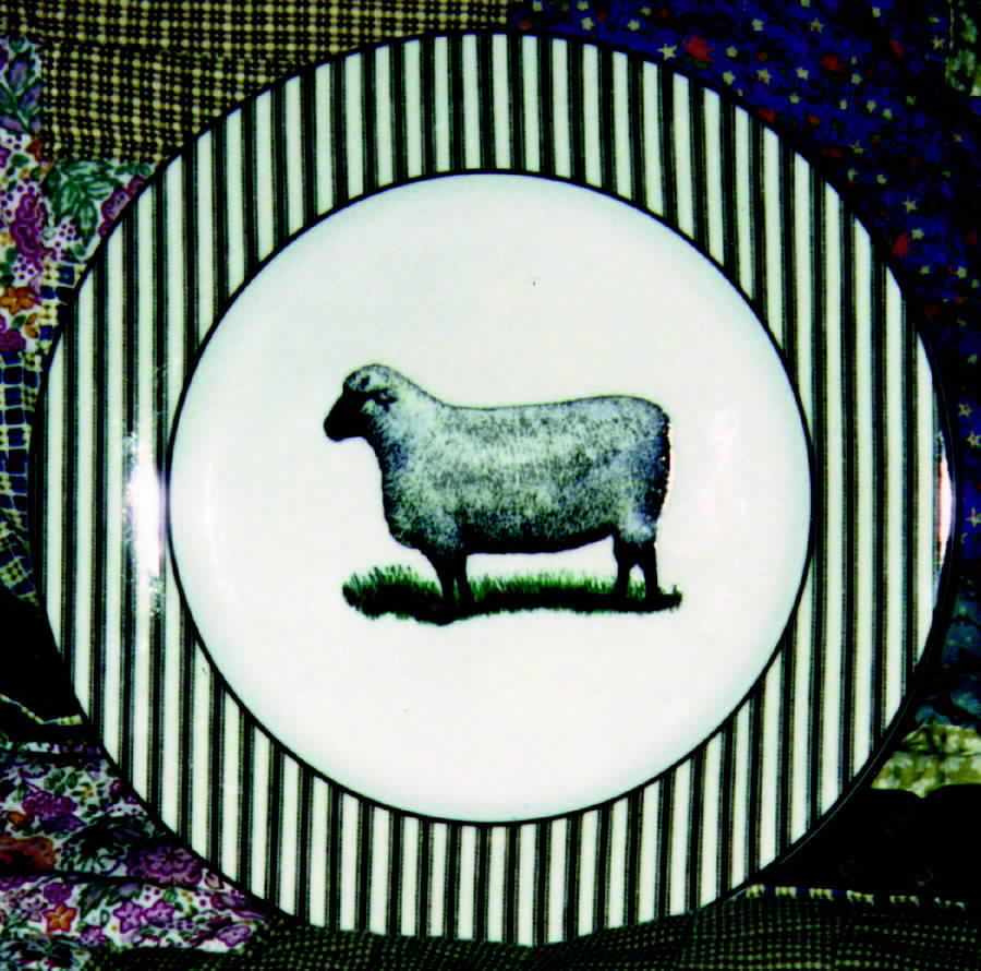 Farm Dinner Plate by Department 56-1