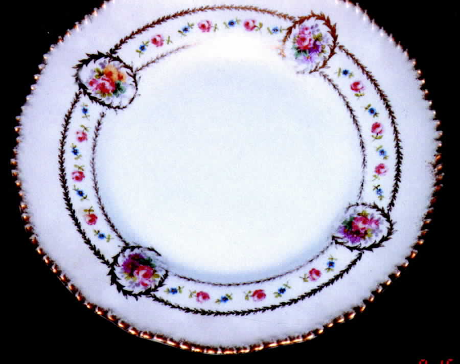 DEI27 Dinner Plate by Delinieres-1