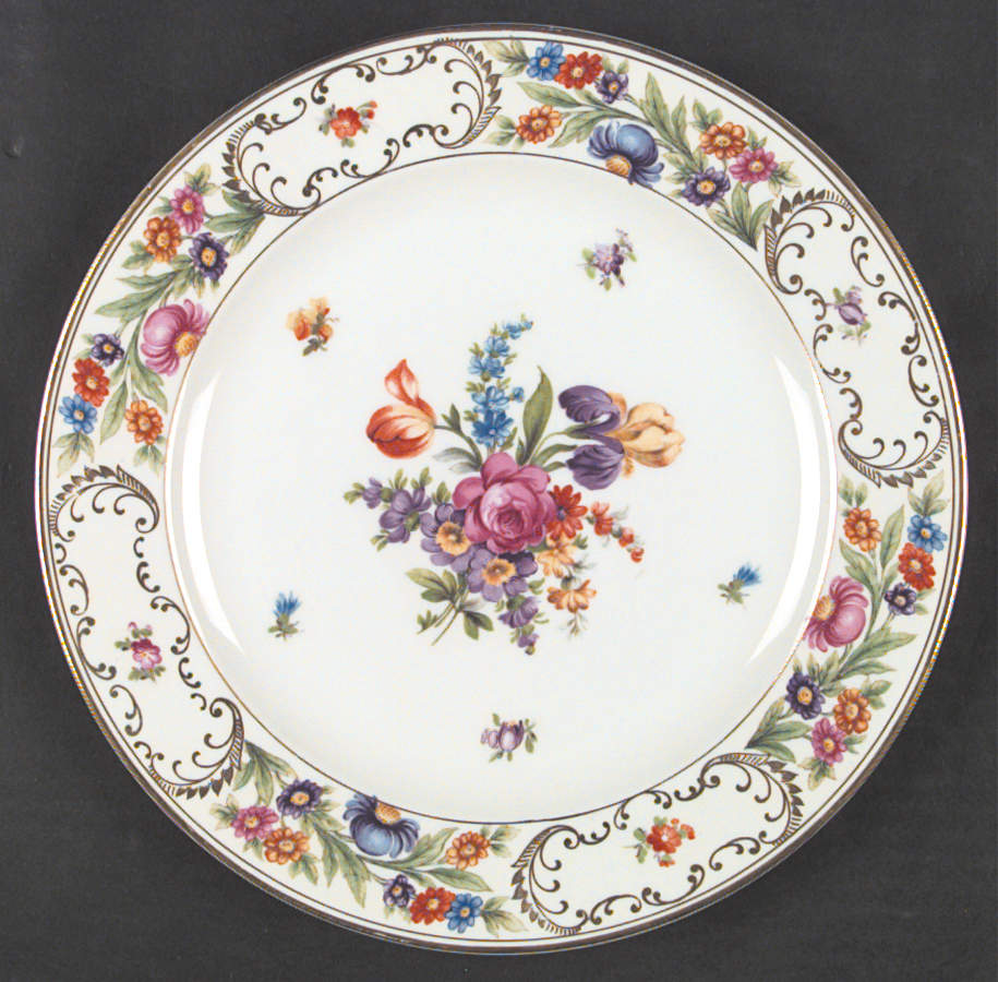 DRE17 Large Dinner Plate by Dresden (German)-1