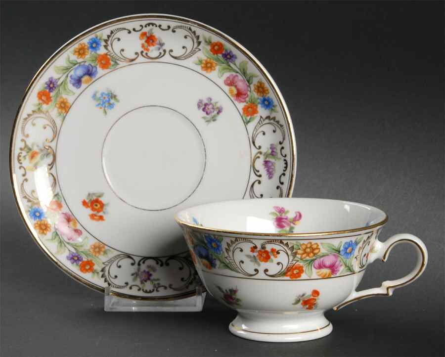 DRE17 Footed Cup & Saucer Set by Dresden (German)-1