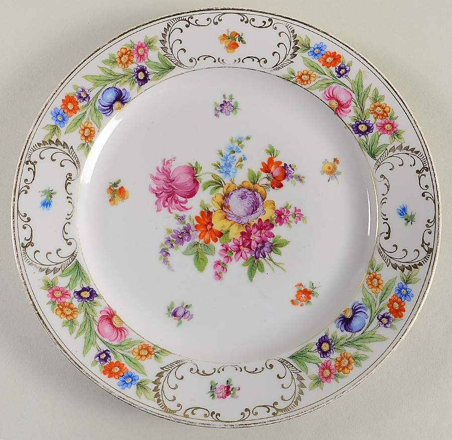 DRE17 Dinner Plate by Dresden (German)-1