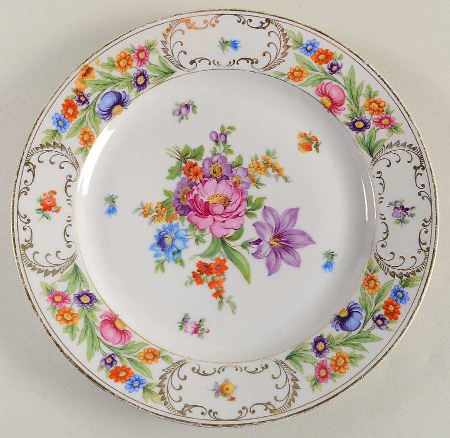 DRE17 Dinner Plate by Dresden (German)-1