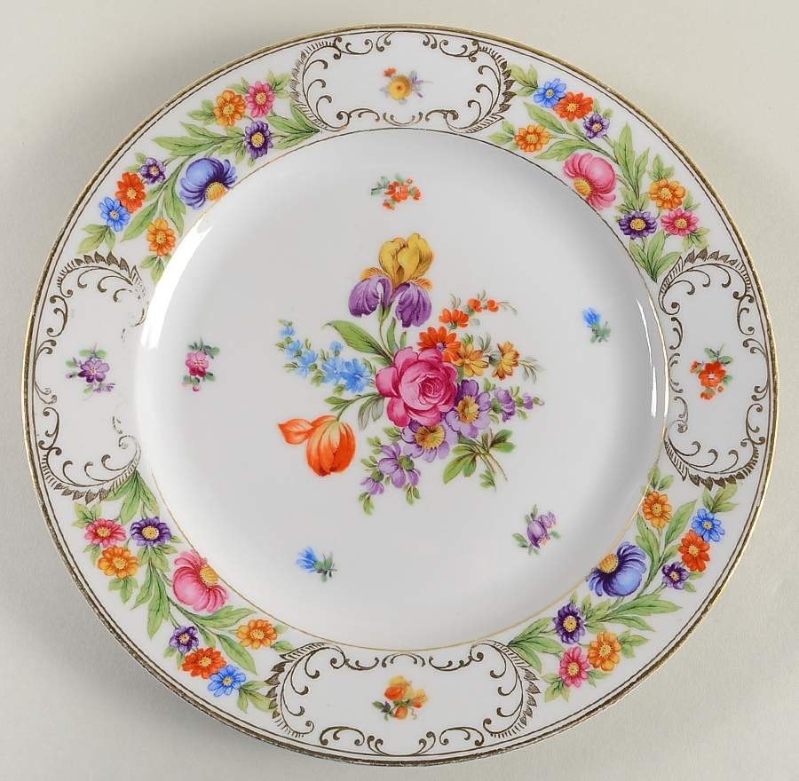 DRE17 Dinner Plate by Dresden (German)-1