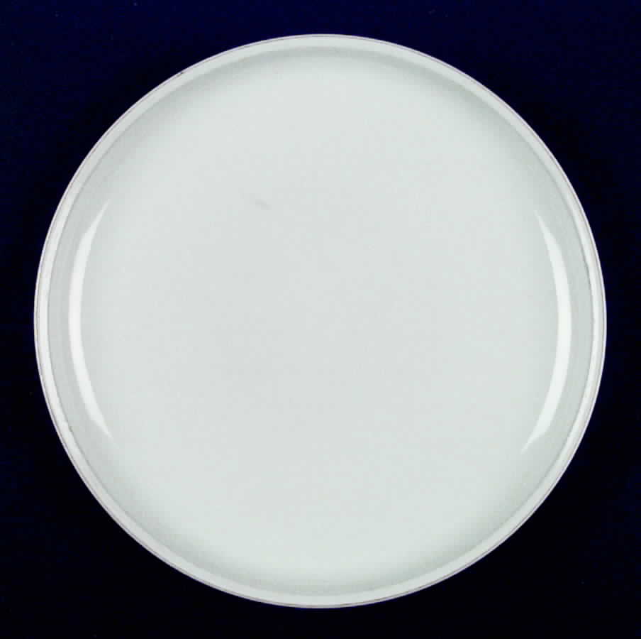 DEN9 Dinner Plate by Denby-Langley-1