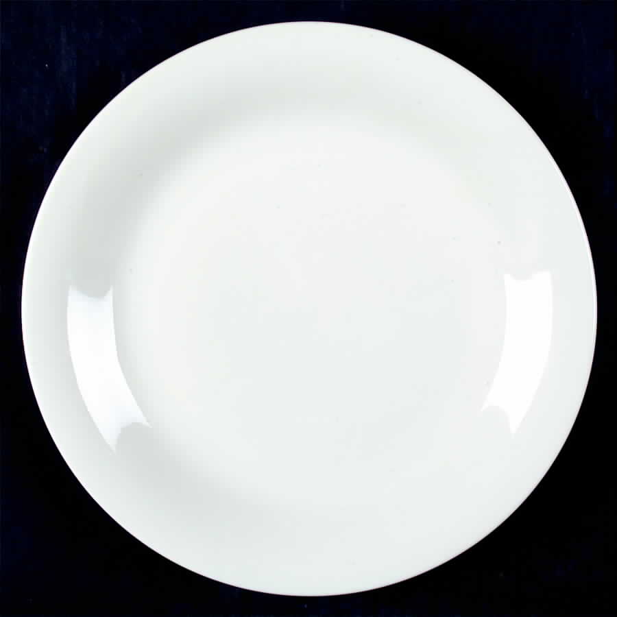 Tjorn Ivory Dinner Plate by Dansk-1