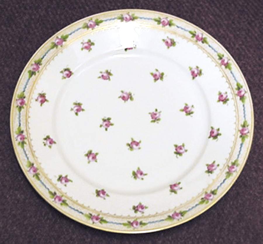 DRE20 Dinner Plate by Dresden (German)-1