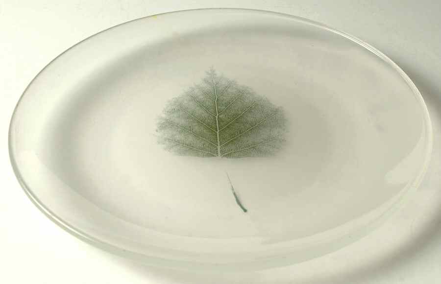 Energy Leaf Glassware Salad Plate by Denby-Langley-1