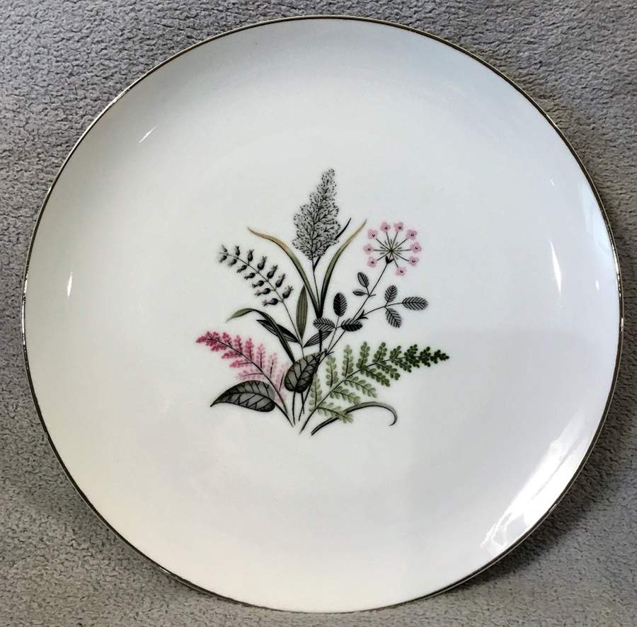 DWF1 Dinner Plate by DW (Japan)-1