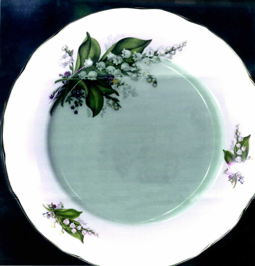 DUC15 Dinner Plate by Duchess-1
