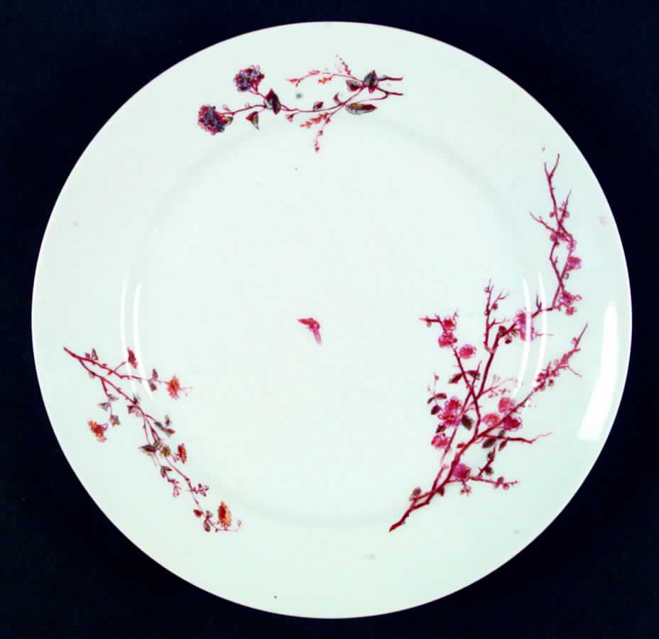 DEI44 Dinner Plate by Delinieres-1