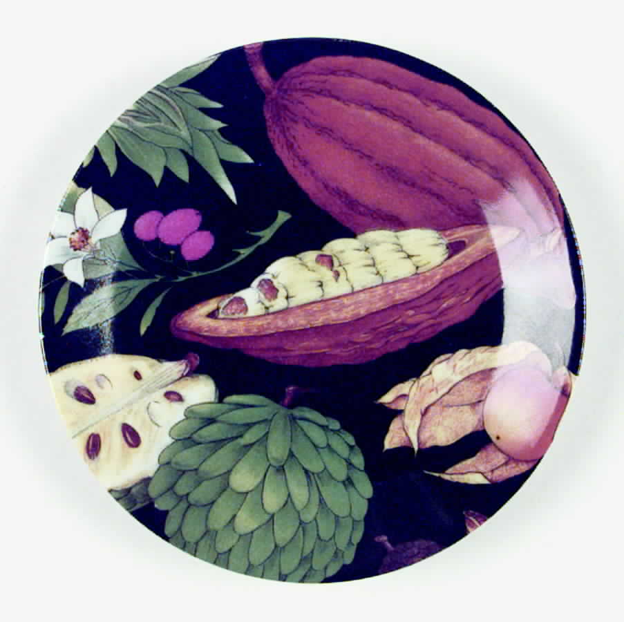 Tropical Fruits Canape Plate by Philippe Deshoulieres-1