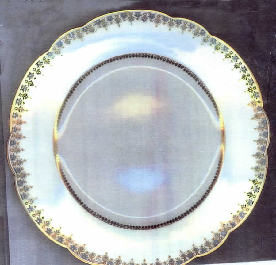 DEI57 Dinner Plate by Delinieres-1