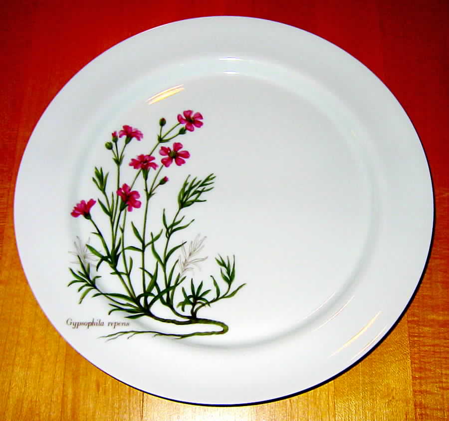 DES3 Dinner Plate by Desiree-1