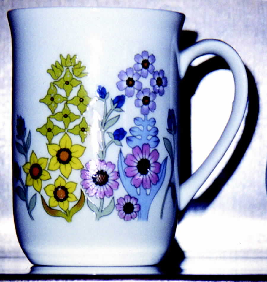 Delphi Mug by Dolphin-1