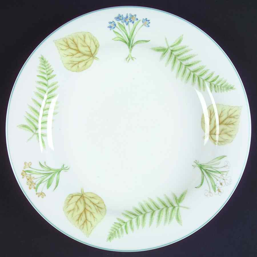 Foliage and Flowers (Non Marbled Rim) Dinner Plate by Doulton & Co-1