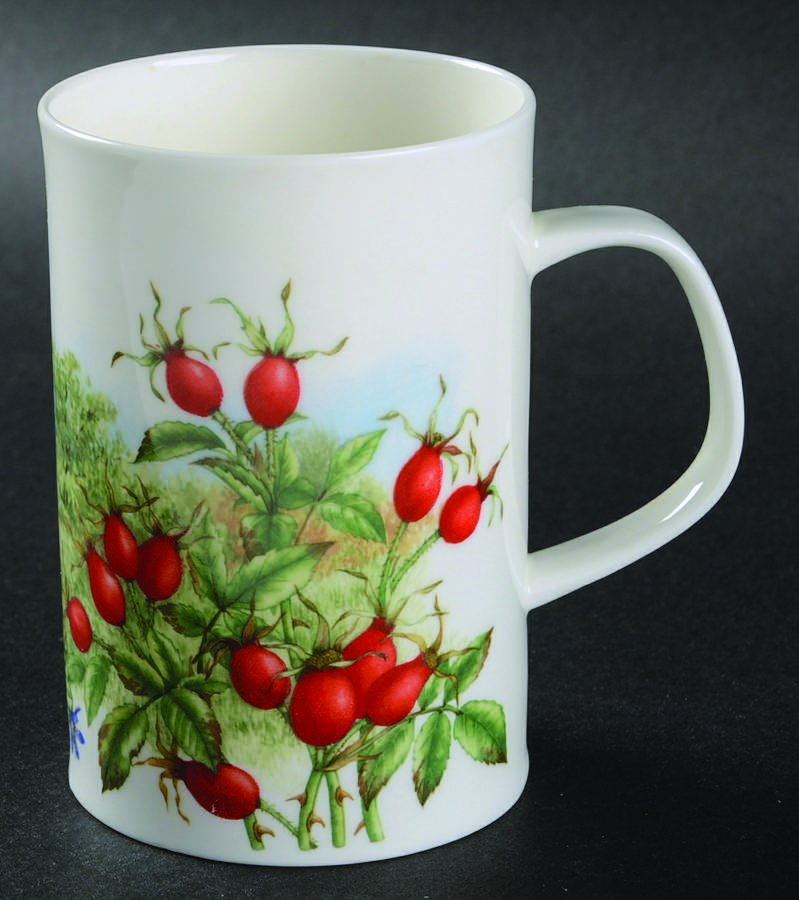 Hedgerow Fruits Mug by Dunoon-1