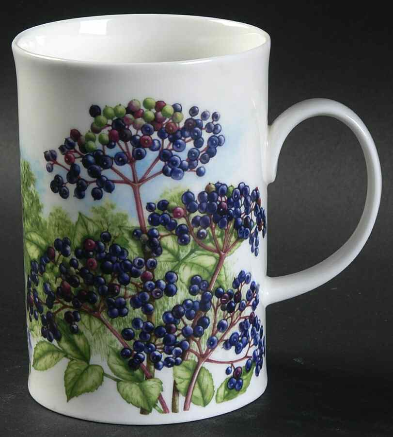 Hedgerow Fruits Mug by Dunoon-1