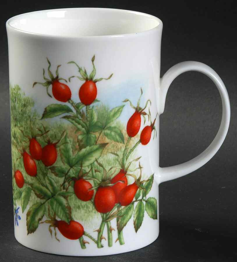 Hedgerow Fruits Mug by Dunoon-1