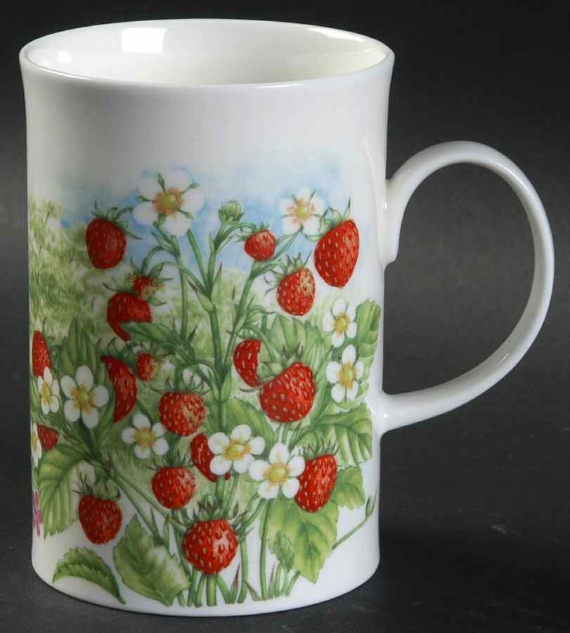 Hedgerow Fruits Mug by Dunoon-1