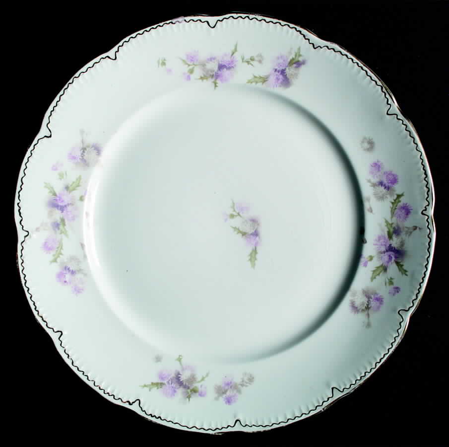 DRC13 Dinner Plate by Dresden (USA)-1