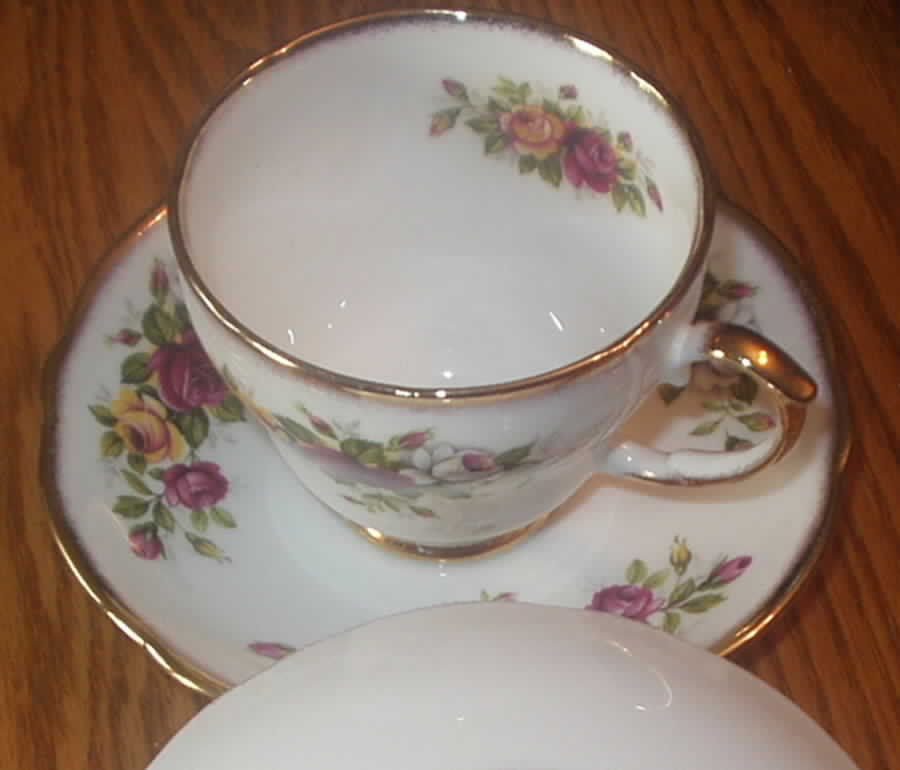 English Garden (Amber Shape) Footed Cup & Saucer Set by Duchess-1