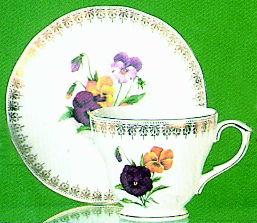 Summertime Footed Cup & Saucer Set by Duchess-1